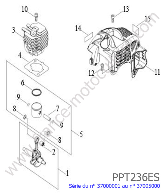Cylindre / Piston / Vilebrequin : ECHO - PPT236ES-1