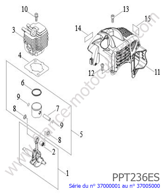Cylindre / Piston / Vilebrequin ECHO PPT236ES-1