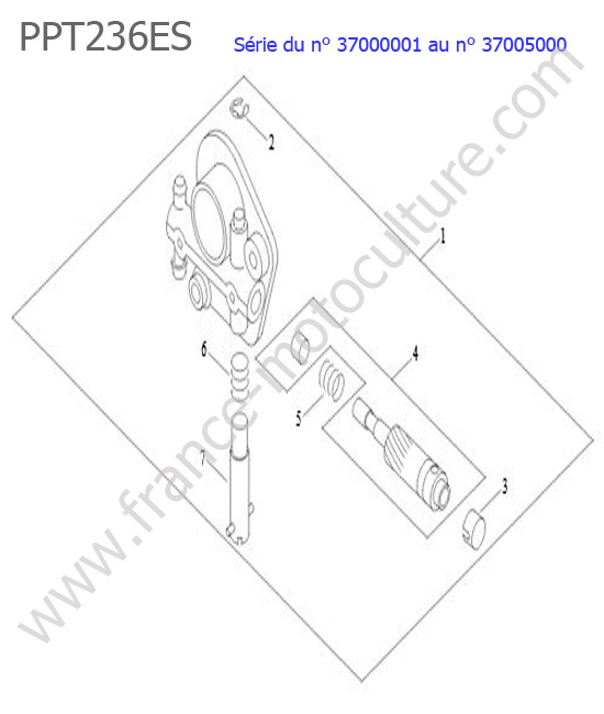 Pompe huile ECHO PPT236ES-1