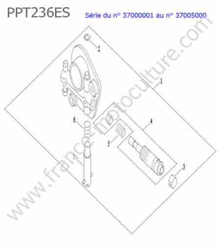 ECHO - PPT236ES-1 : Pompe huile
