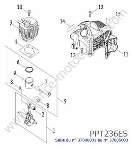ECHO - PPT236ES-1 : Cylindre / Piston / Vilebrequin