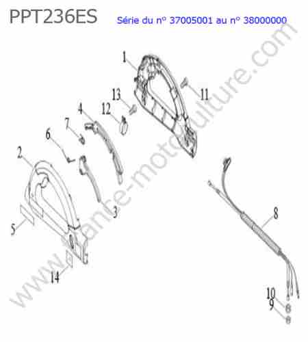 ECHO - PPT236ES-2 : Accelerateur
