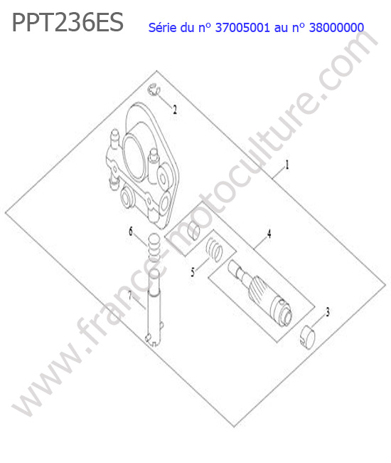 Pompe huile ECHO PPT236ES-2