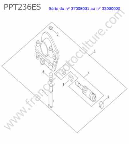 ECHO - PPT236ES-2 : Pompe huile