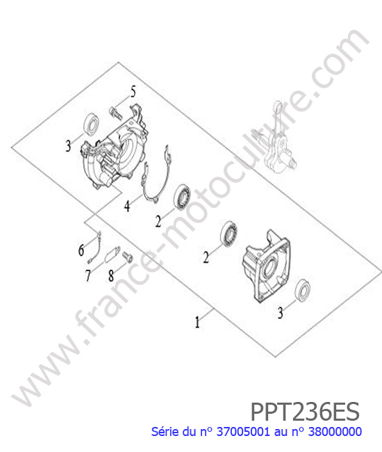Carter vilebrequin ECHO PPT236ES-2