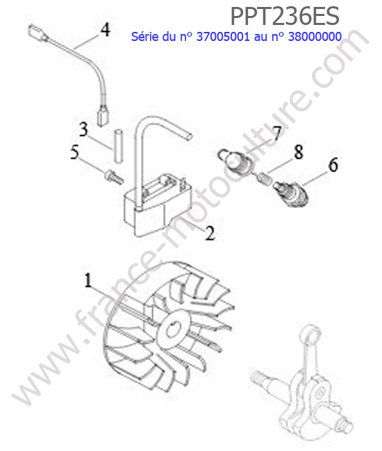 Allumage ECHO PPT236ES-2