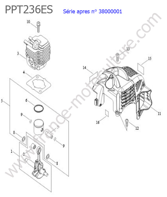 Cylindre / Piston / Vilebrequin ECHO PPT236ES-3