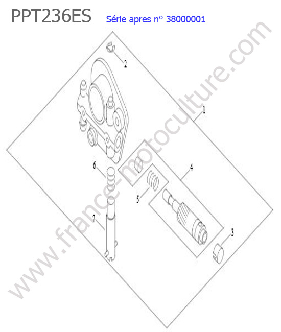 Pompe huile ECHO PPT236ES-3