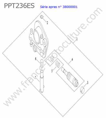 ECHO - PPT236ES-3 : Pompe huile