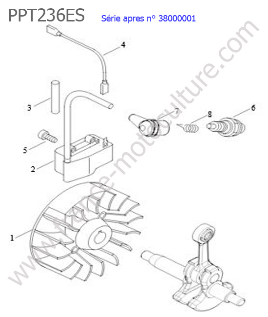 Allumage ECHO PPT236ES-3