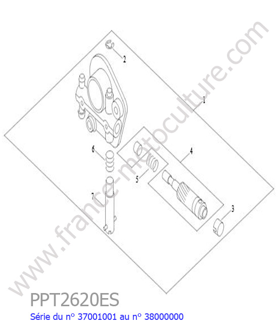 Graisseur ECHO PPT2620ES-1