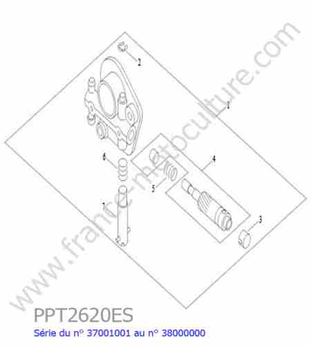 ECHO - PPT2620ES-1 : Graisseur