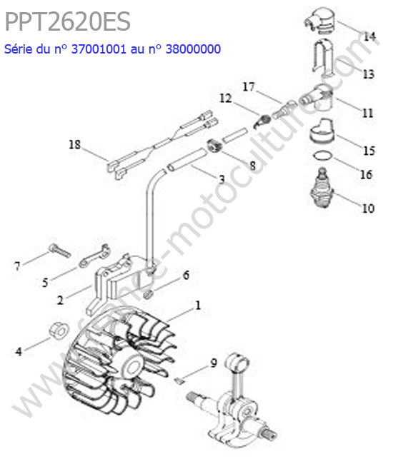 Allumage ECHO PPT2620ES-1