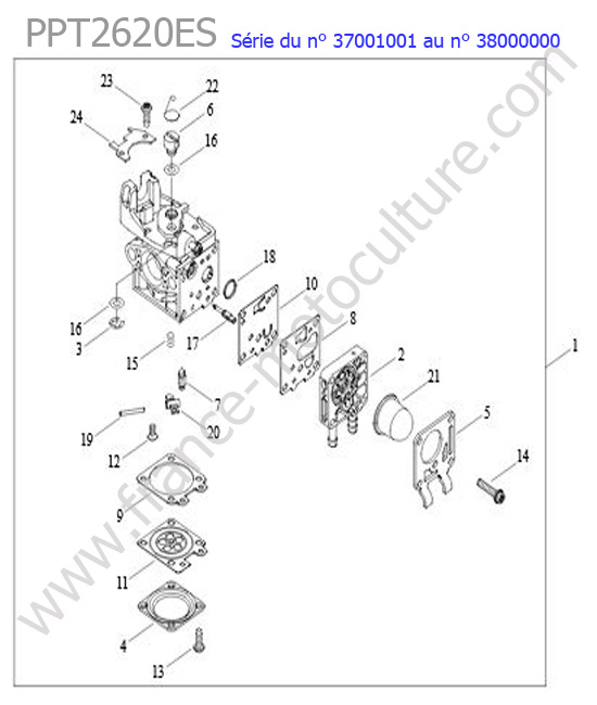 Carburateur ECHO PPT2620ES-1
