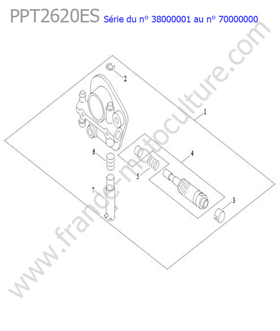 Graisseur ECHO PPT2620ES-2