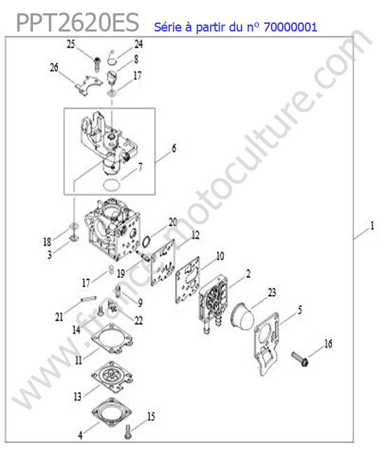 Carburateur ECHO PPT2620ES-3
