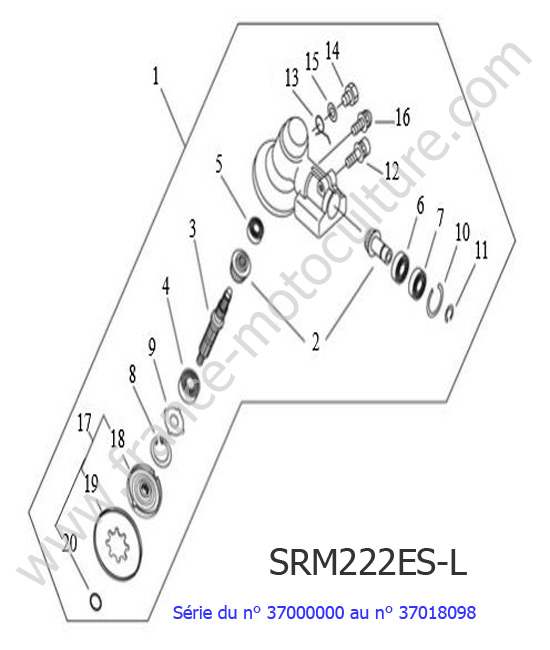 Renvoi angle ECHO SRM222ESL-1