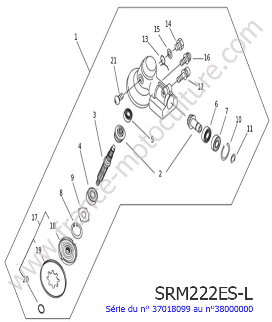 Renvoi angle ECHO SRM222ESL-2