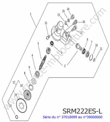 ECHO - SRM222ESL-2 : Renvoi angle