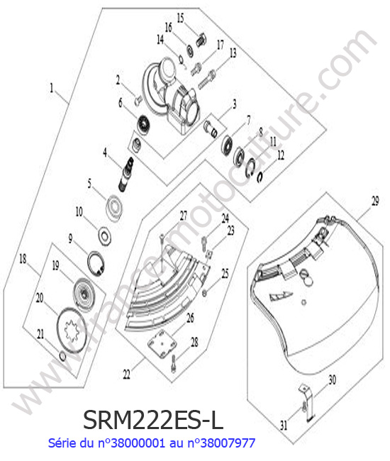 Renvoi angle ECHO SRM222ESL-3