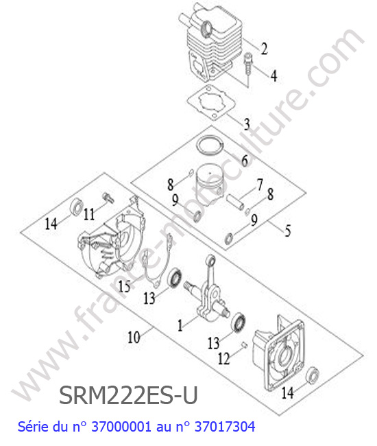 Cylindre / Vilebrequin / Piston : ECHO - SRM222ESU-1
