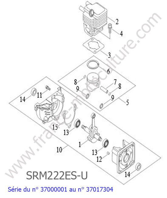 Cylindre / Vilebrequin / Piston ECHO SRM222ESU-1