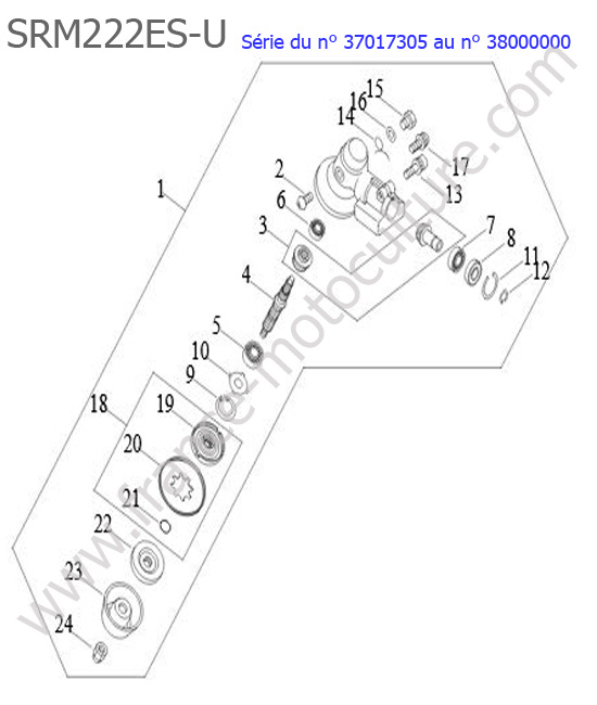 Renvoi angle ECHO SRM222ESU-2