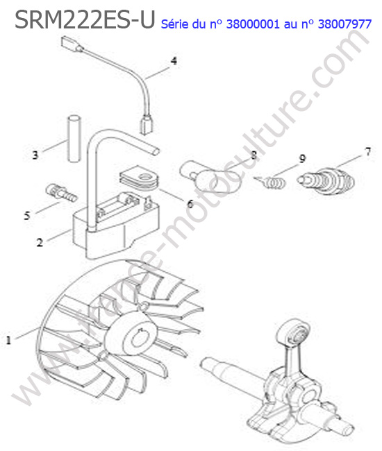 Allumage ECHO SRM222ESU-3