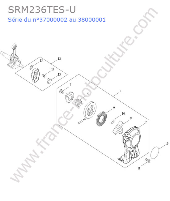 Lanceur ECHO SRM236-15