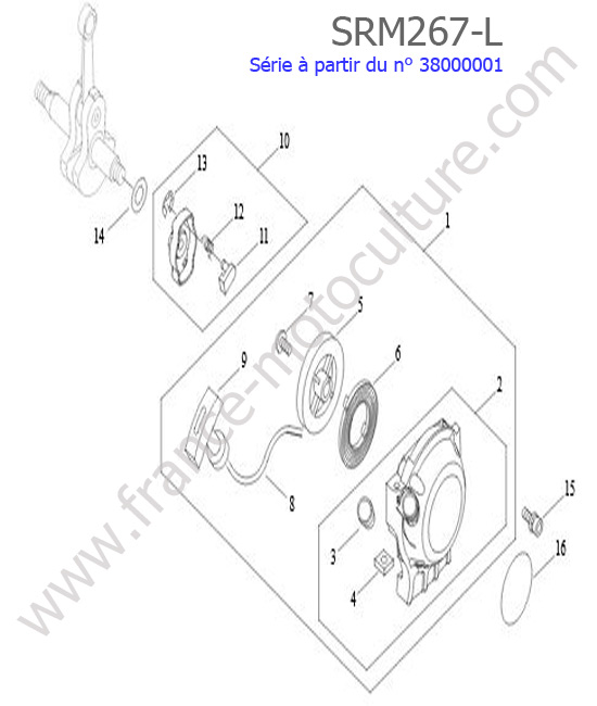 Lanceur ECHO SRM267L
