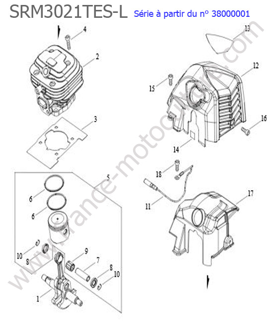 Cylindre / Piston / Vilebrequin ECHO SRM3021TES-1