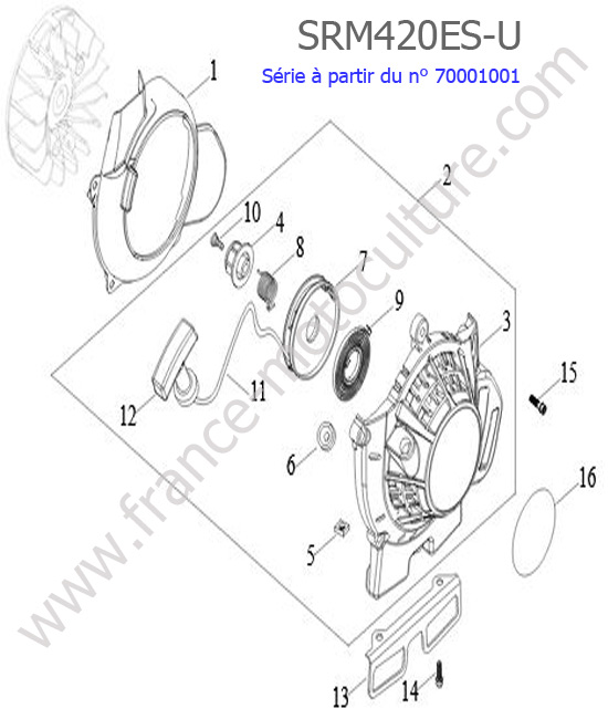Lanceur ECHO SRM420ES-6