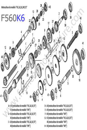 HONDA - F560K6 : Transmission