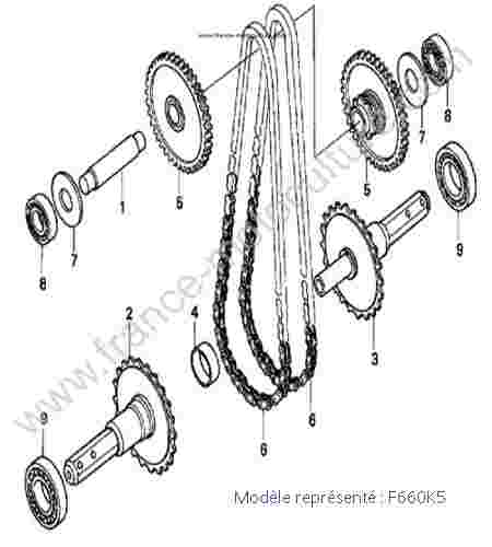 HONDA - F660K5 : Chaine/arbre sortie - K5