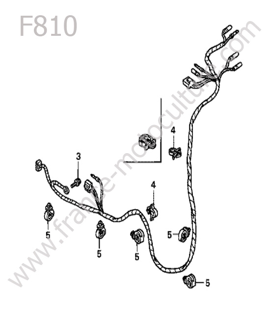 Faisceau electrique HONDA F810
