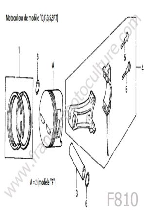 HONDA - F810 : Piston