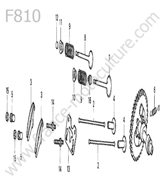 Arbre cames HONDA F810