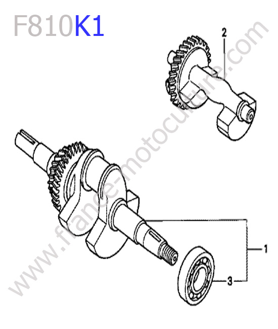 Vilebrequin HONDA F810K1