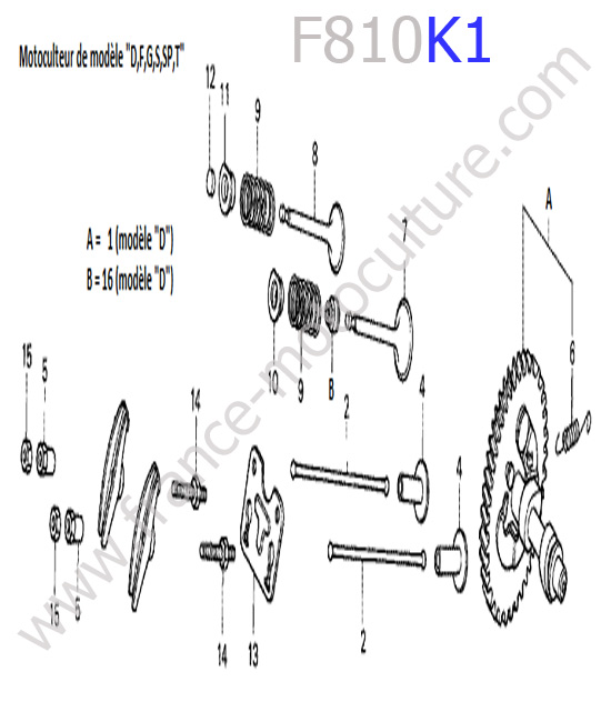 Arbre cames HONDA F810K1