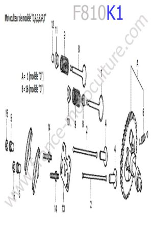 HONDA - F810K1 : Arbre cames
