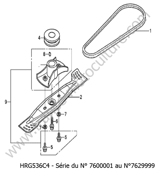 Lame / courroie HONDA HRG536C4