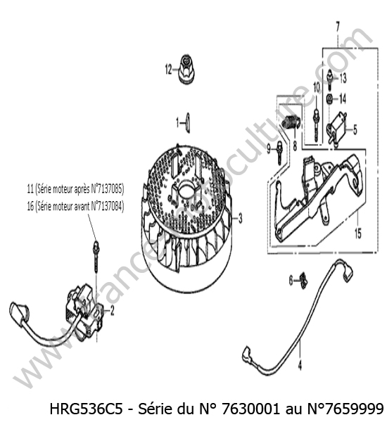 Allumage HONDA HRG536C5