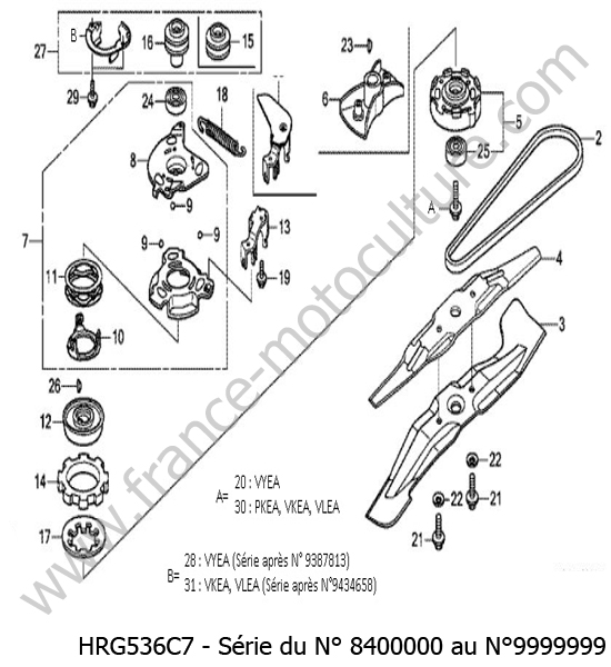 Lame / courroie HONDA HRG536C7