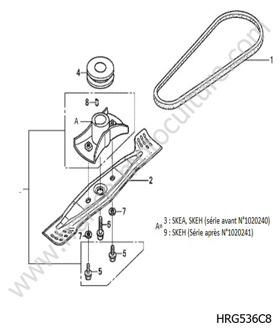 Lame / courroie 1 HONDA HRG536C8