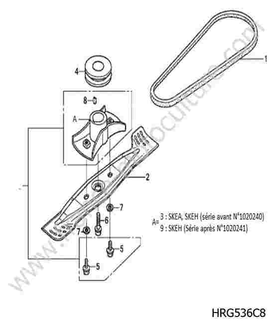 HONDA - HRG536C8 : Lame / courroie 1