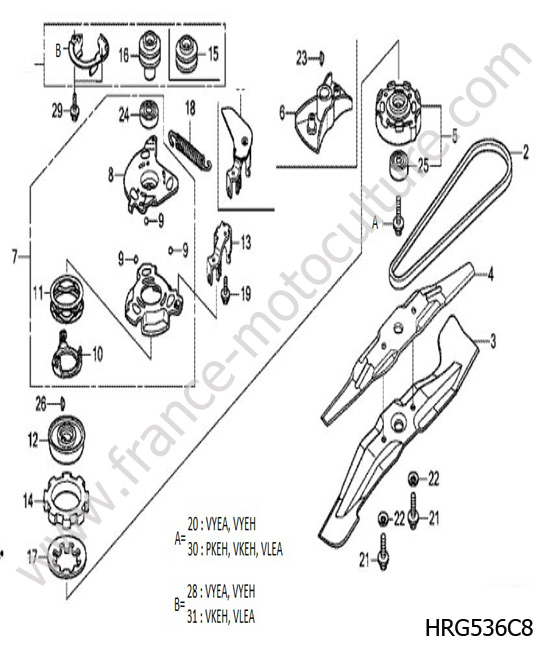 Lame / courroie 2 HONDA HRG536C8