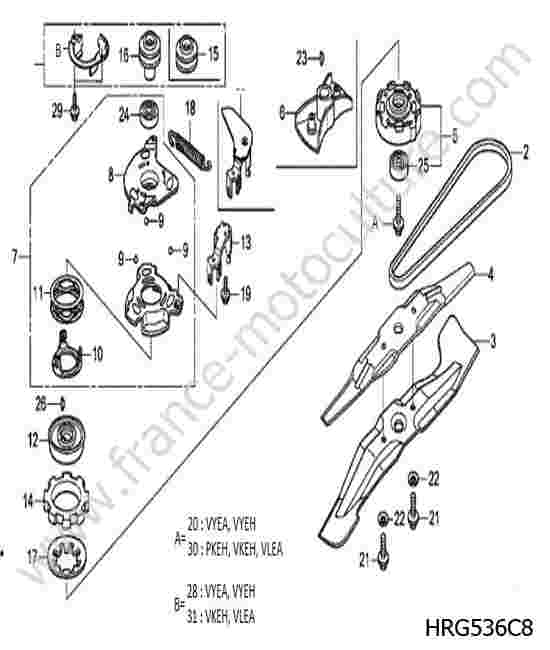 HONDA - HRG536C8 : Lame / courroie 2