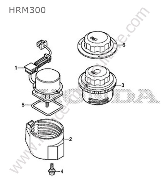 Moteur coupe HONDA HRM300
