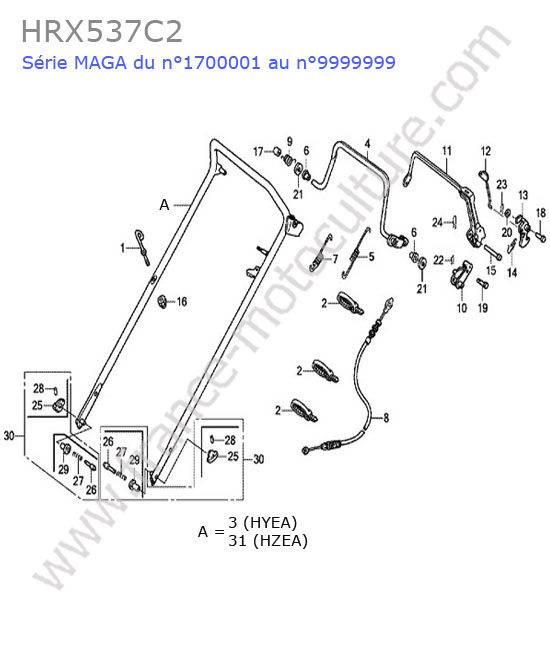Guidon (hyea-hzea) HONDA HRX537C2