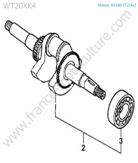 Vilebrequin HONDA WT20-5